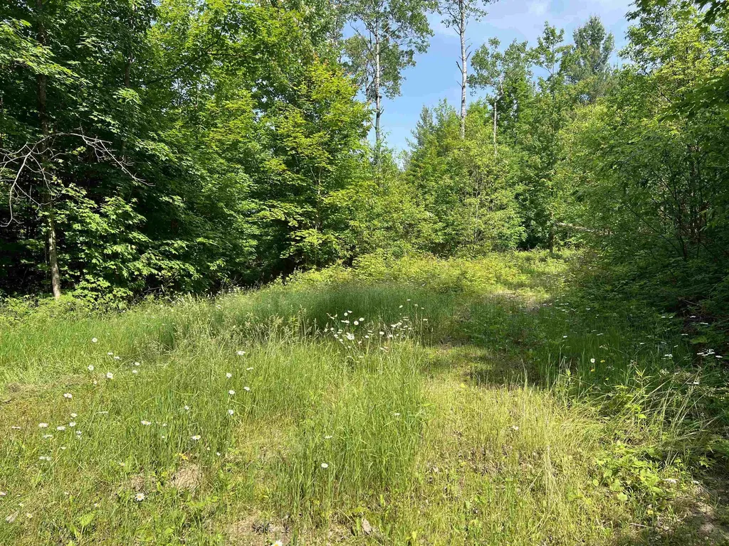 309 Oak Hill Road Garfield Township MI 49633