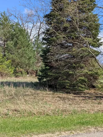 1007 Kent Street Broomfield Township MI 48893