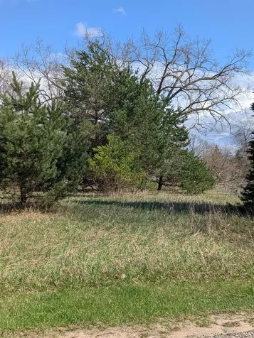 1007 Kent Street Broomfield Township MI 48893