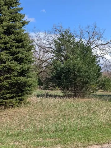 1003 Kent Street Broomfield Township MI 48893