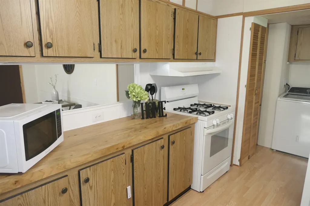 6264 Wildwood Drive Seville Township MI 48832