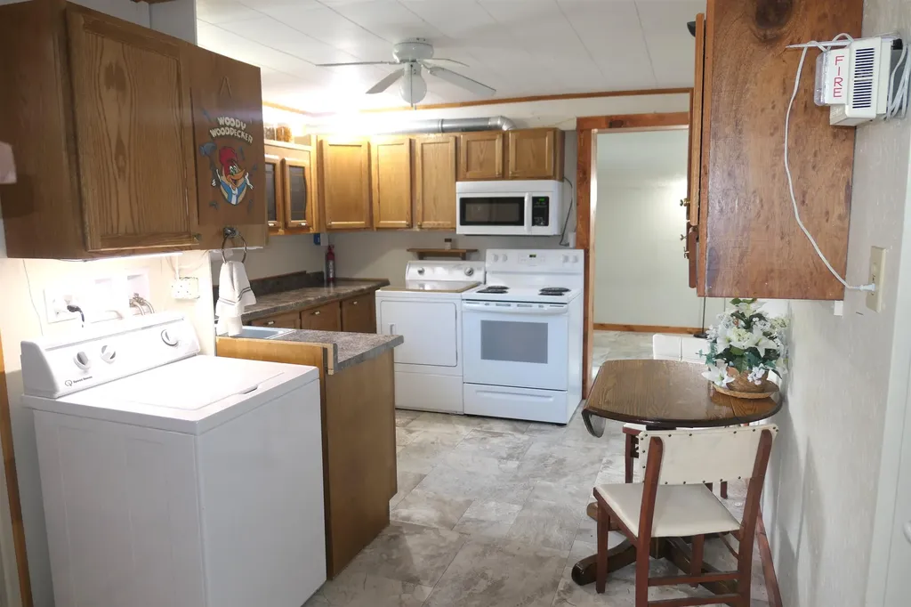 6264 Wildwood Drive Seville Township MI 48832