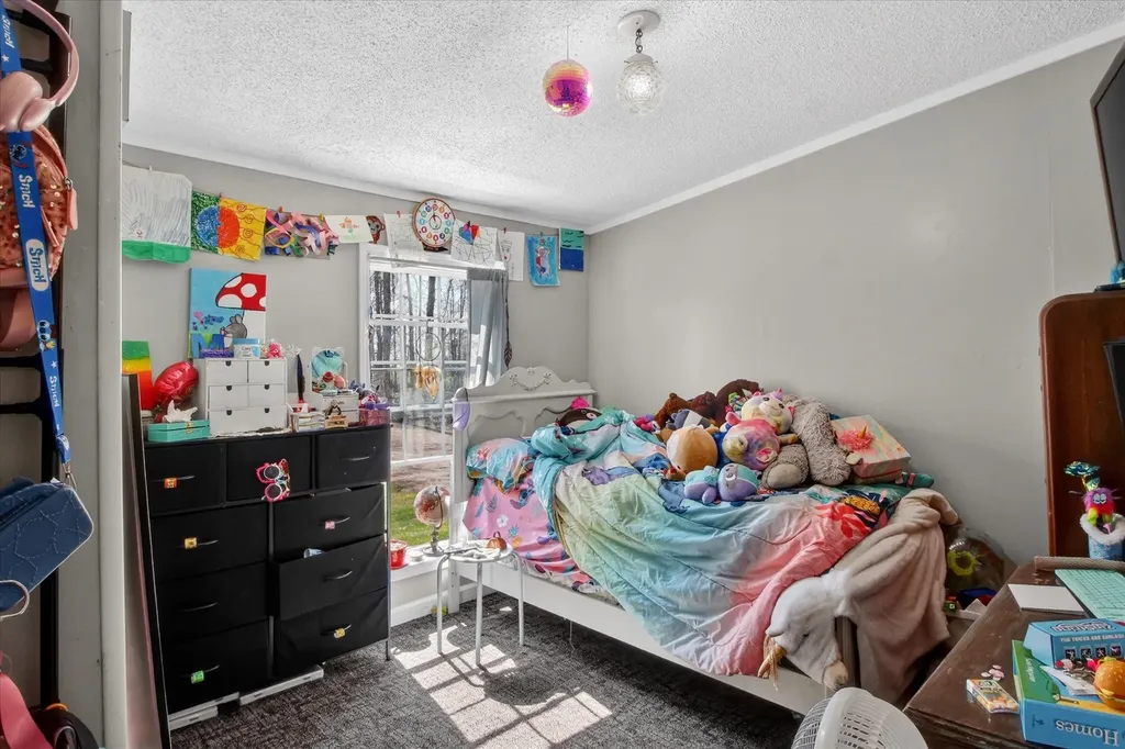 4537 N Caris Road Ferris Township MI 48829