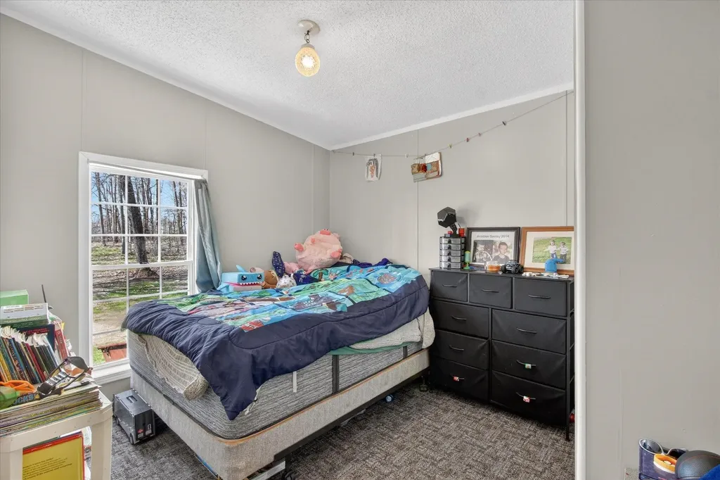 4537 N Caris Road Ferris Township MI 48829