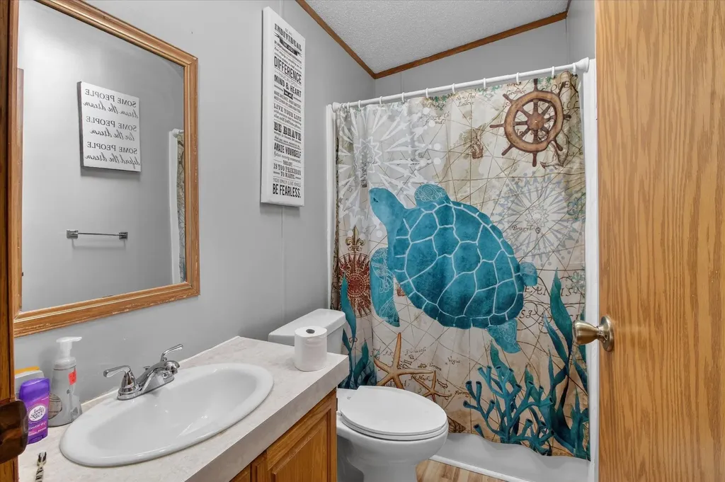 4537 N Caris Road Ferris Township MI 48829
