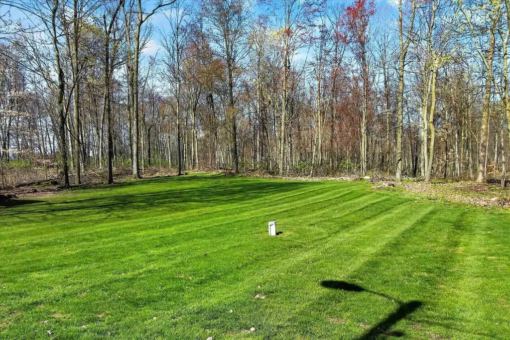 4537 N Caris Road Ferris Township MI 48829