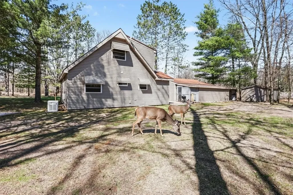 491 Big Stone Lake Orient Township MI 48632