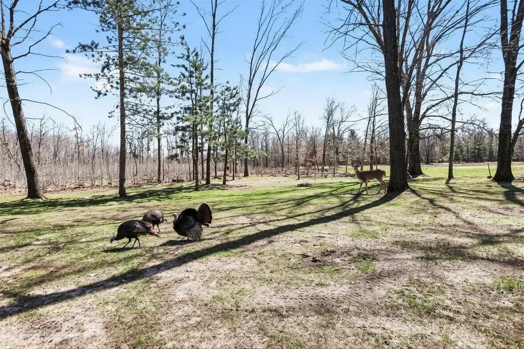 491 Big Stone Lake Orient Township MI 48632