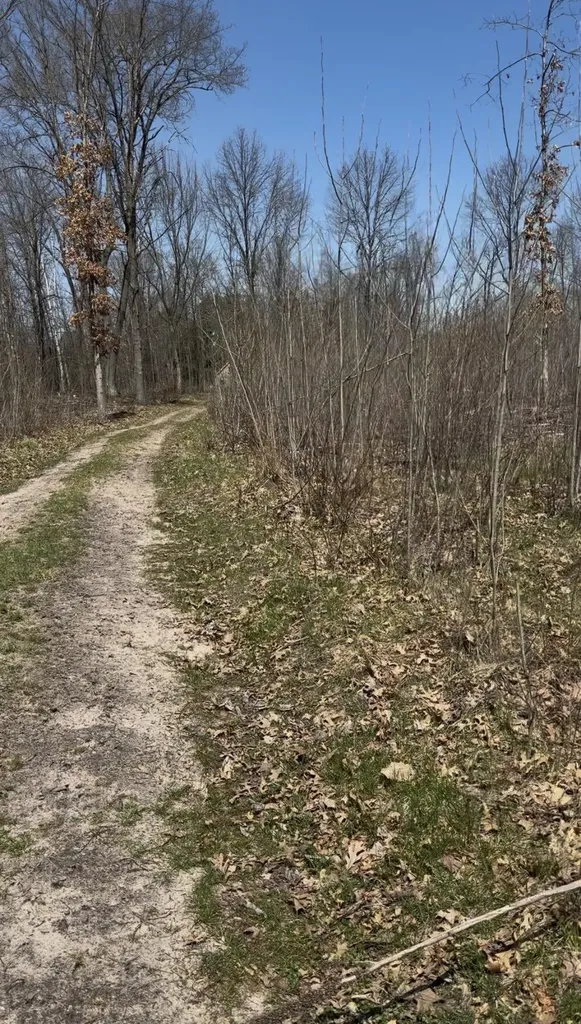 491 Big Stone Lake Orient Township MI 48632
