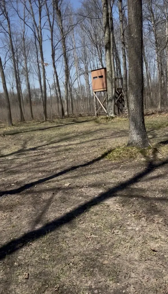 491 Big Stone Lake Orient Township MI 48632
