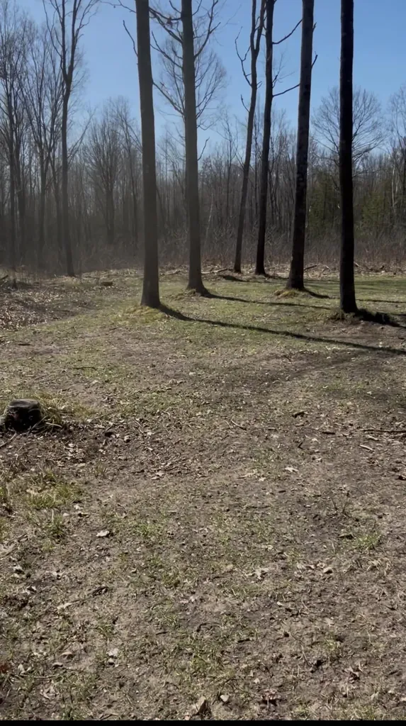 491 Big Stone Lake Orient Township MI 48632
