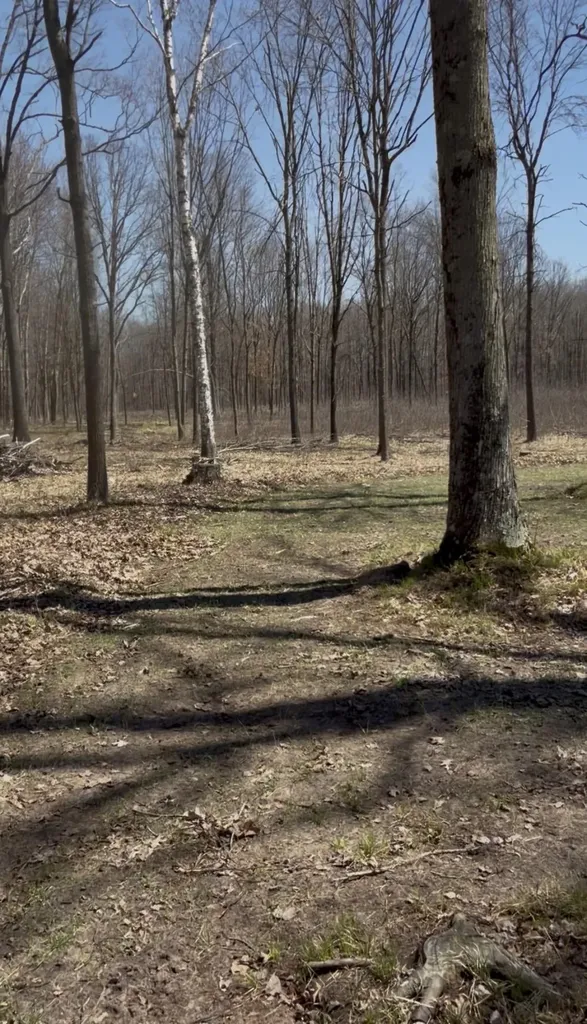 491 Big Stone Lake Orient Township MI 48632