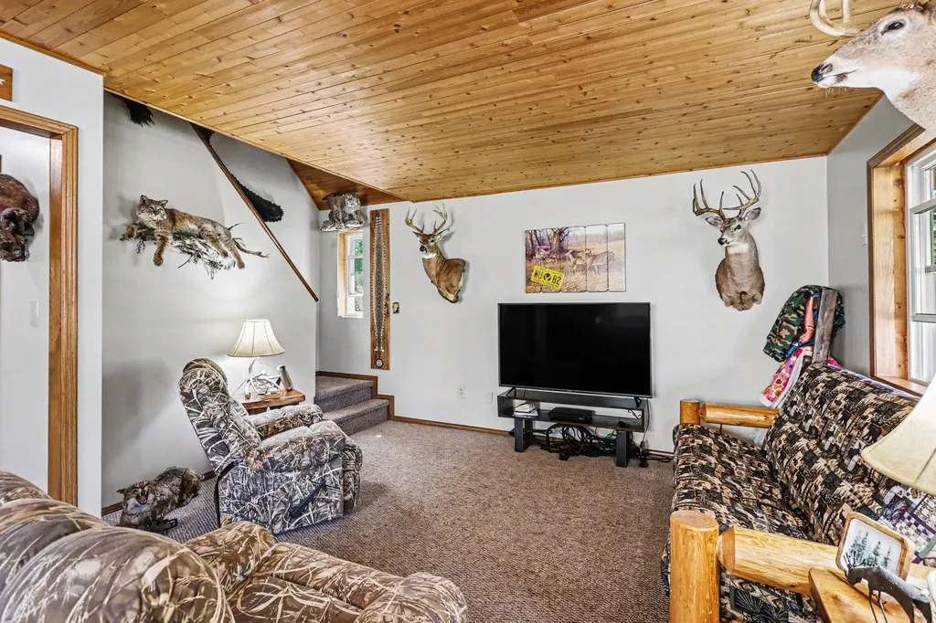 491 Big Stone Lake Orient Township MI 48632
