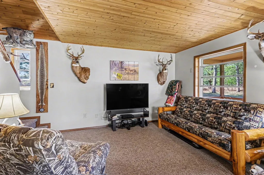 491 Big Stone Lake Orient Township MI 48632
