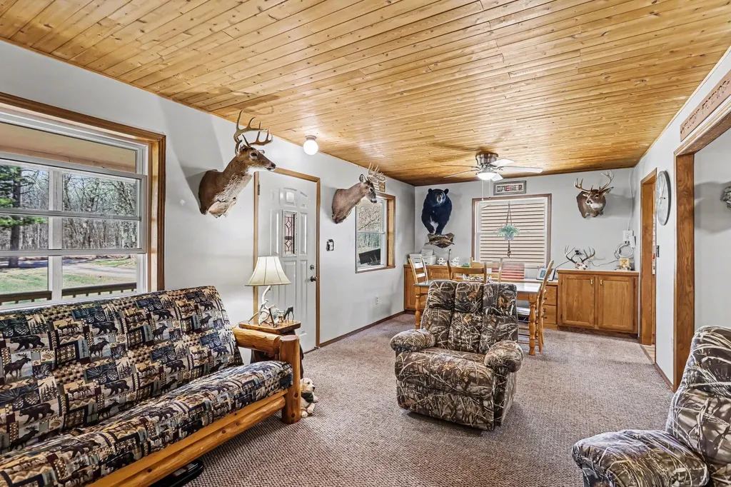 491 Big Stone Lake Orient Township MI 48632