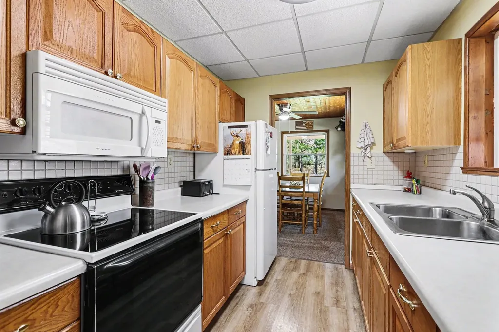 491 Big Stone Lake Orient Township MI 48632