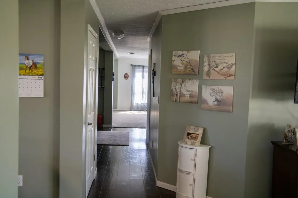 5557 E Pleasant Valley Road Lincoln Township MI 48883