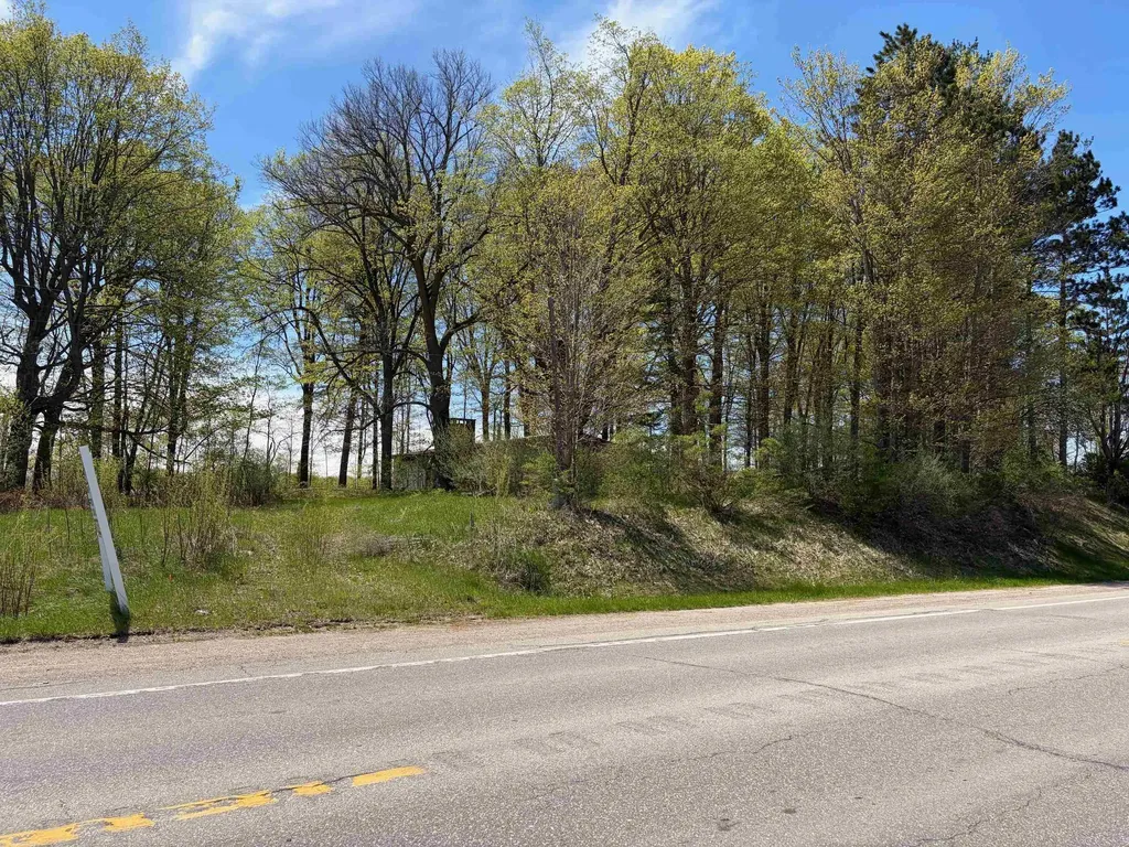1740 & 1732 E Remus Road Union Charter Township MI 48858
