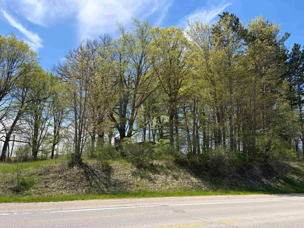 1740 & 1732 E Remus Road Union Charter Township MI 48858