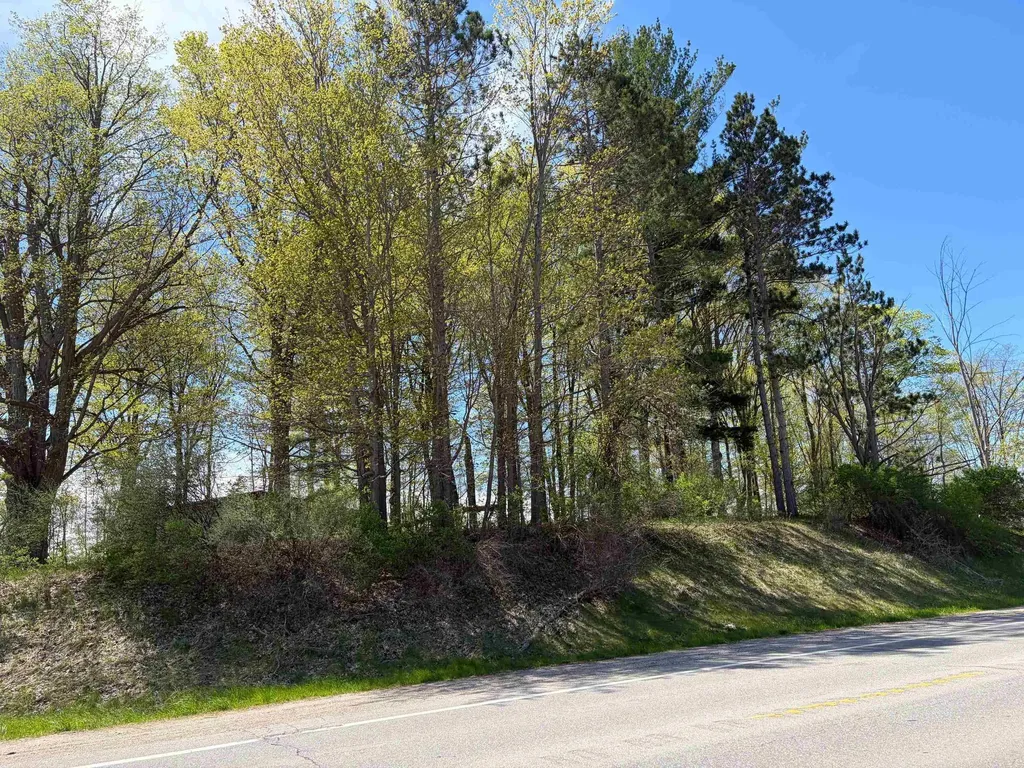 1740 & 1732 E Remus Road Union Charter Township MI 48858