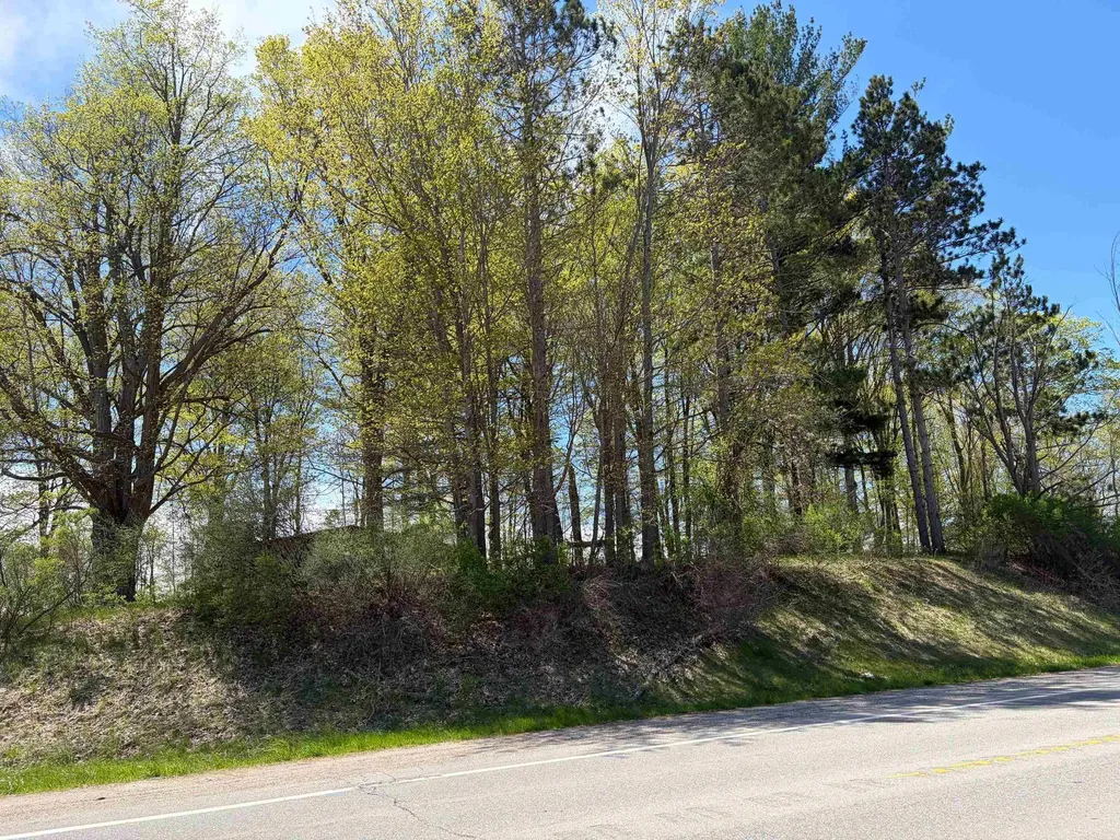 1740 & 1732 E Remus Road Union Charter Township MI 48858