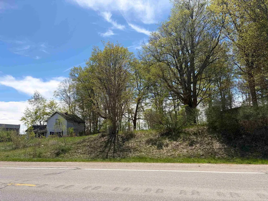 1740 & 1732 E Remus Road Union Charter Township MI 48858