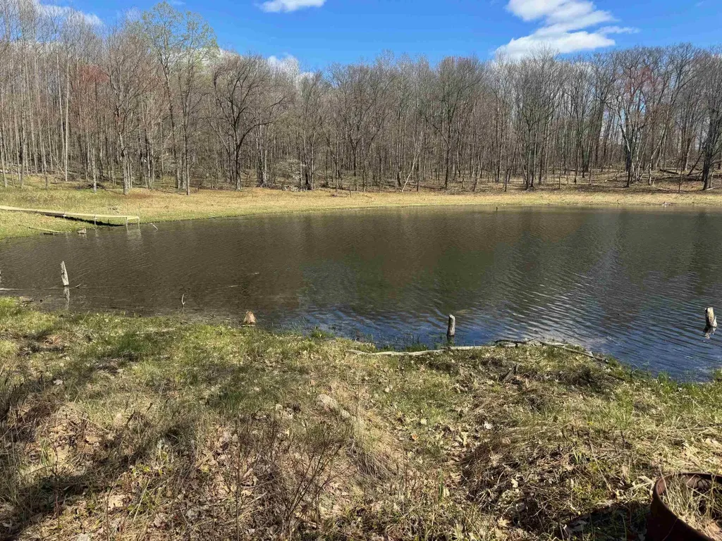 10311 Alpine Drive Cedar Township MI 49677