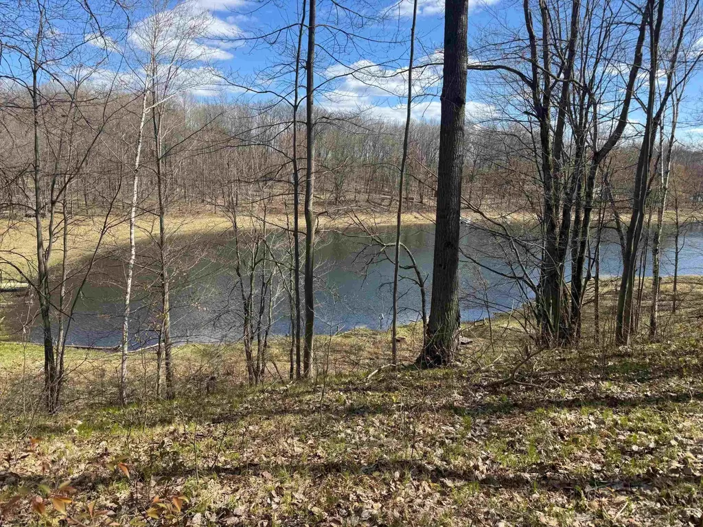 10311 Alpine Drive Cedar Township MI 49677