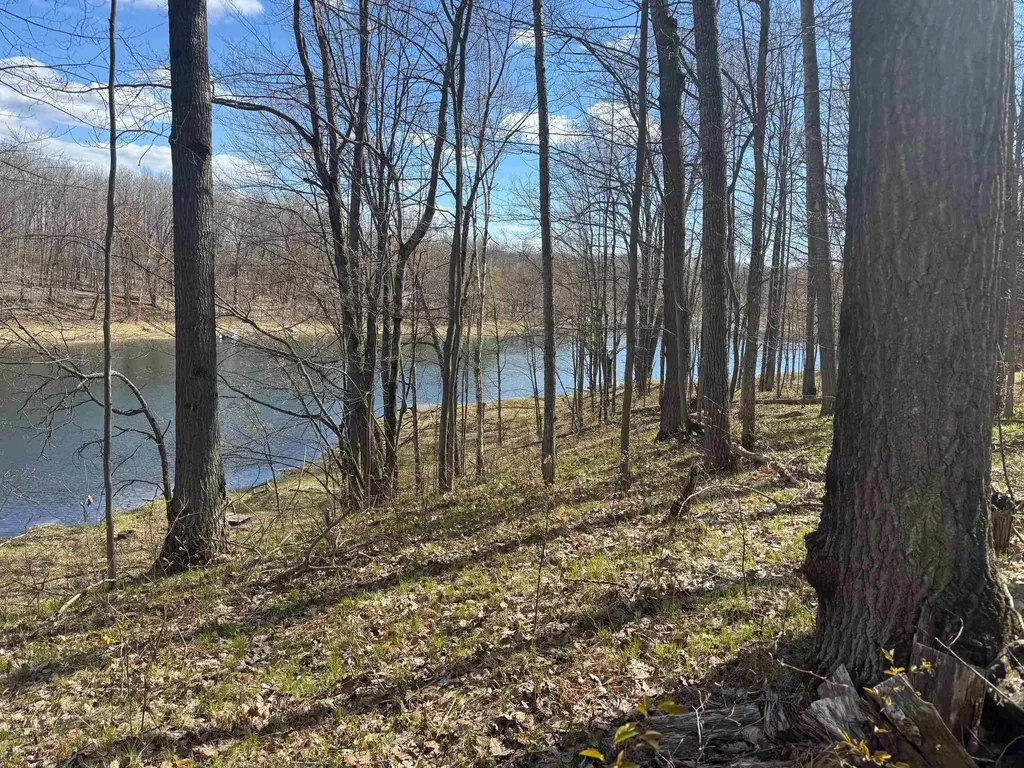 10311 Alpine Drive Cedar Township MI 49677