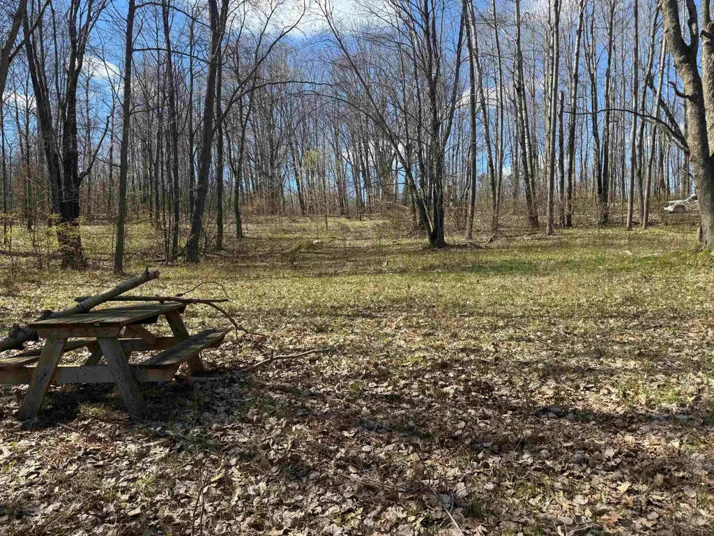 10311 Alpine Drive Cedar Township MI 49677