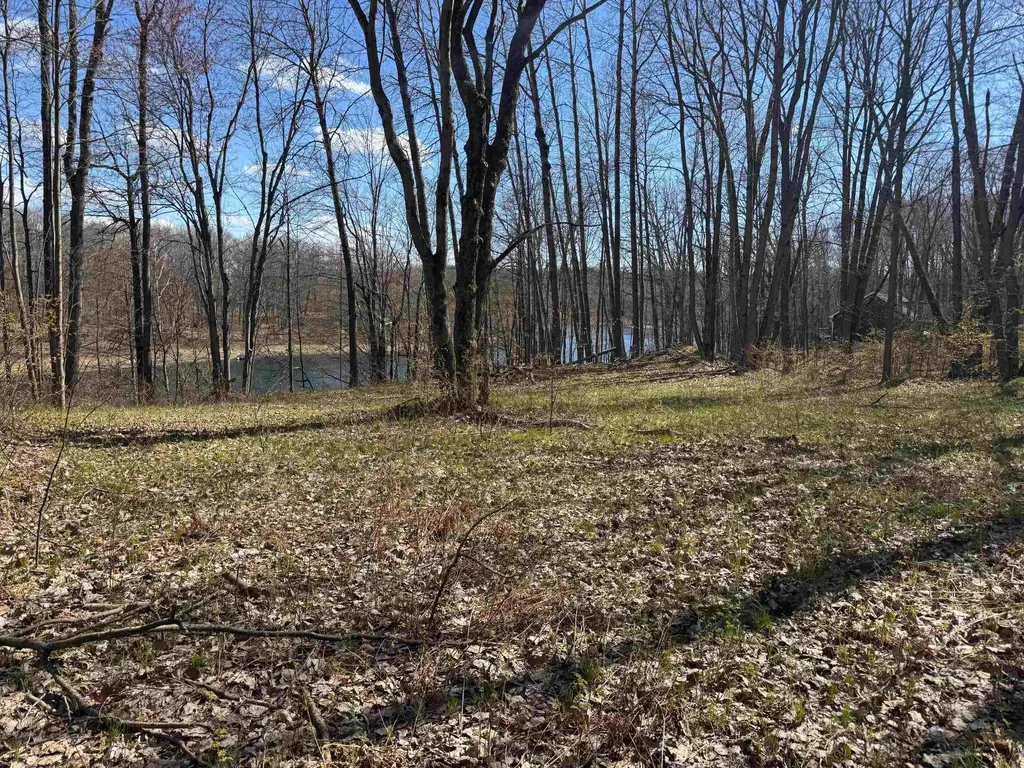 10311 Alpine Drive Cedar Township MI 49677