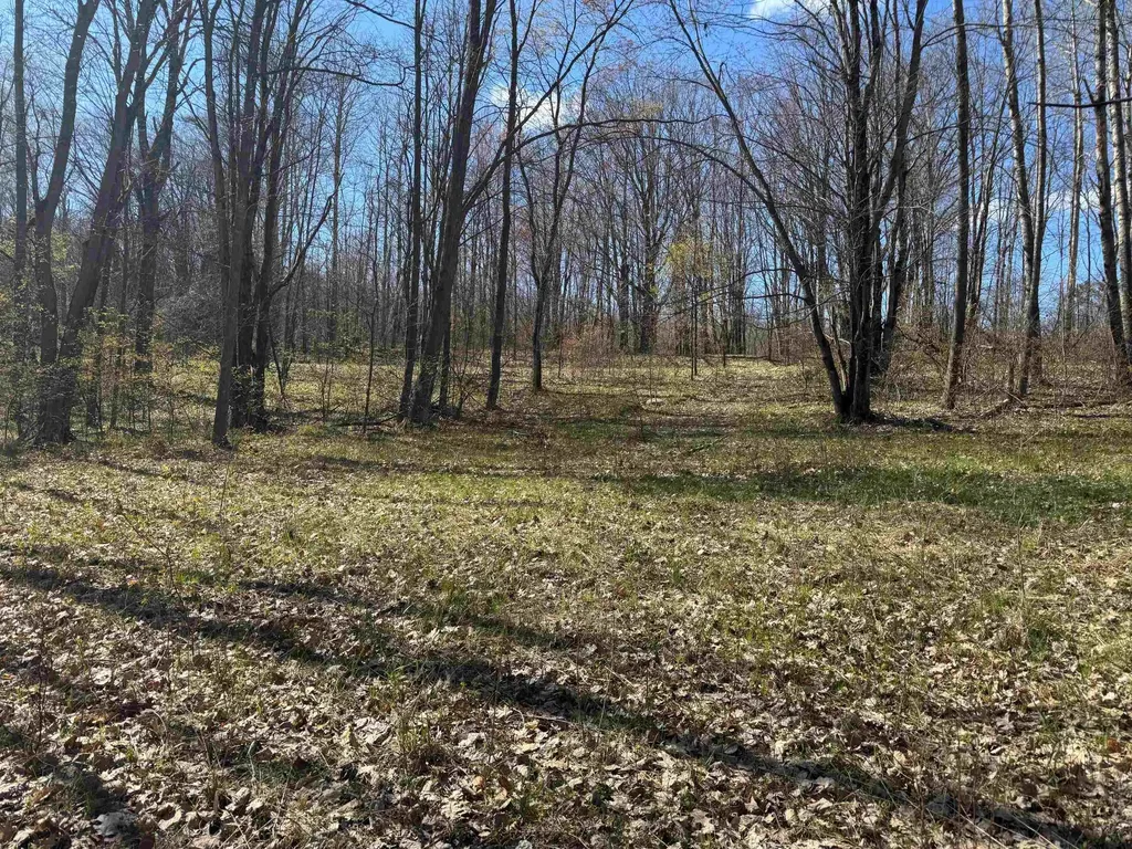 10311 Alpine Drive Cedar Township MI 49677