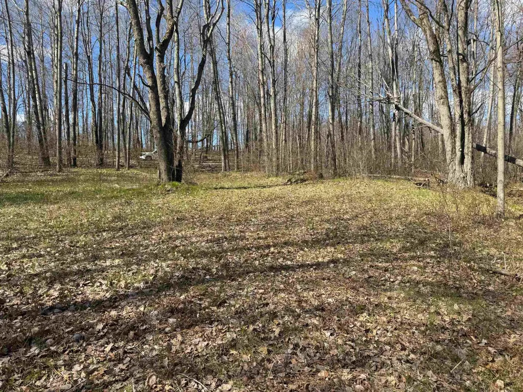 10311 Alpine Drive Cedar Township MI 49677
