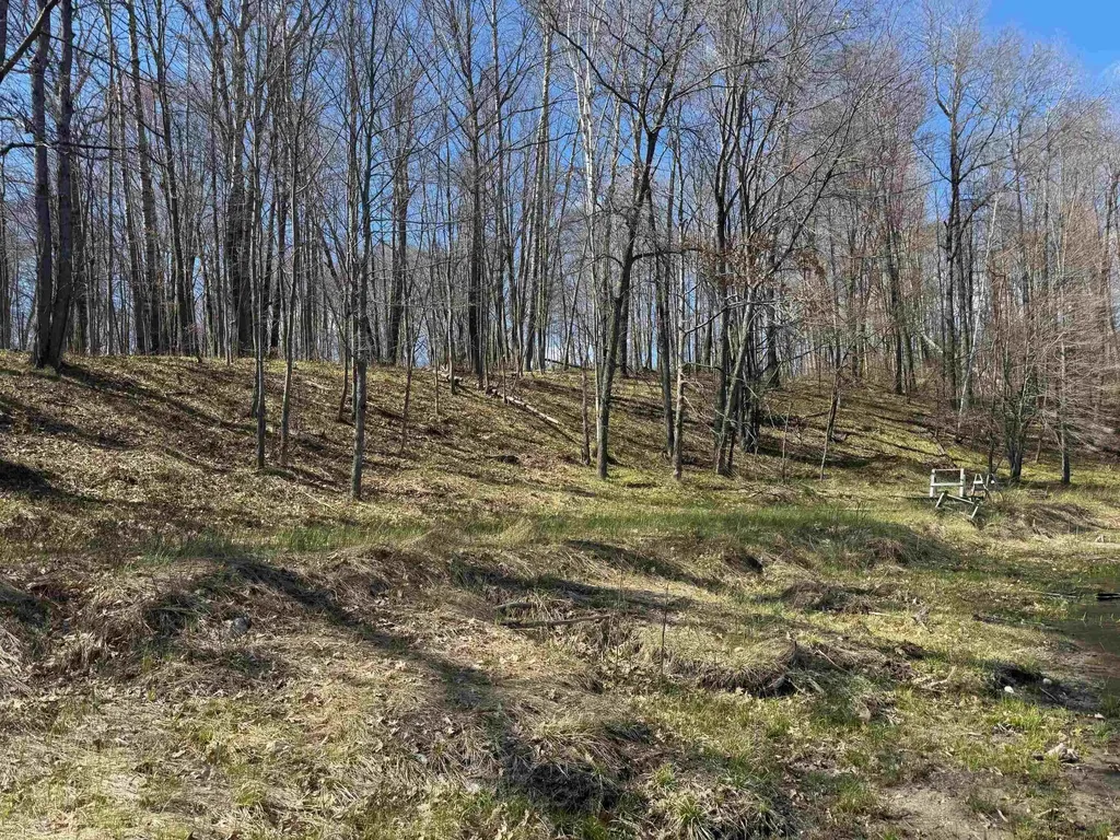 10311 Alpine Drive Cedar Township MI 49677