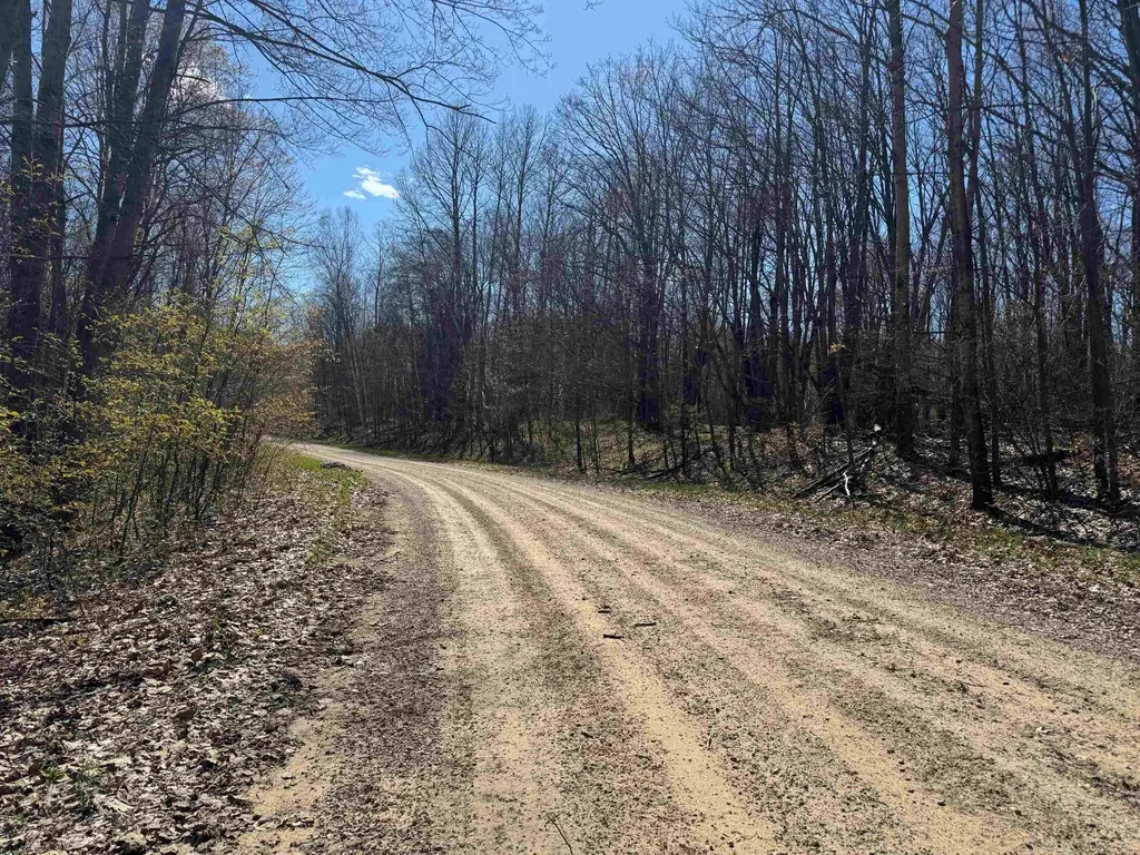 10311 Alpine Drive Cedar Township MI 49677