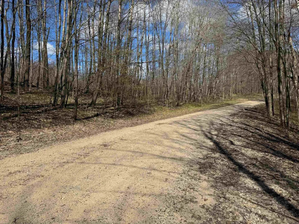 10311 Alpine Drive Cedar Township MI 49677
