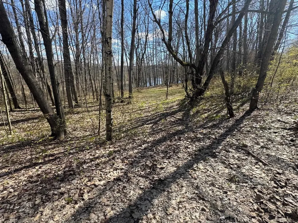 10311 Alpine Drive Cedar Township MI 49677