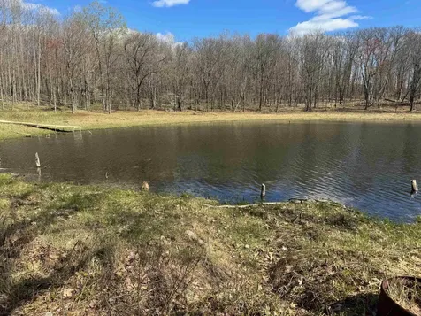 10311 Alpine Drive Cedar Township MI 49677