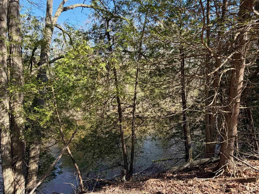 Tbd S Loomis Road Chippewa Township MI 48858