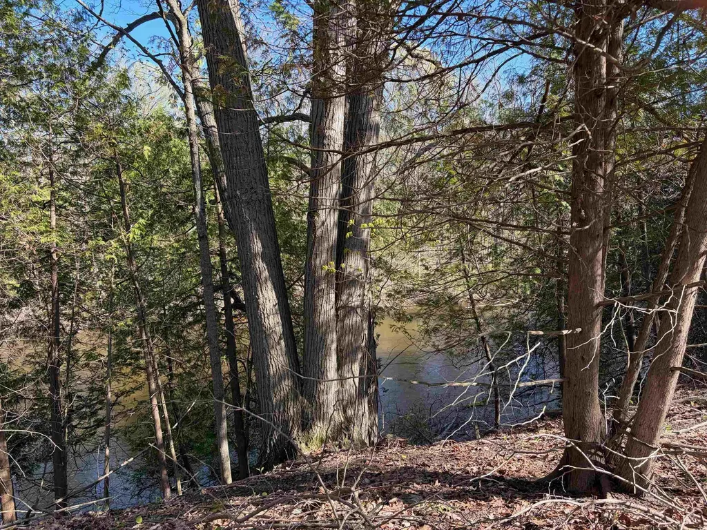 Tbd S Loomis Road Chippewa Township MI 48858