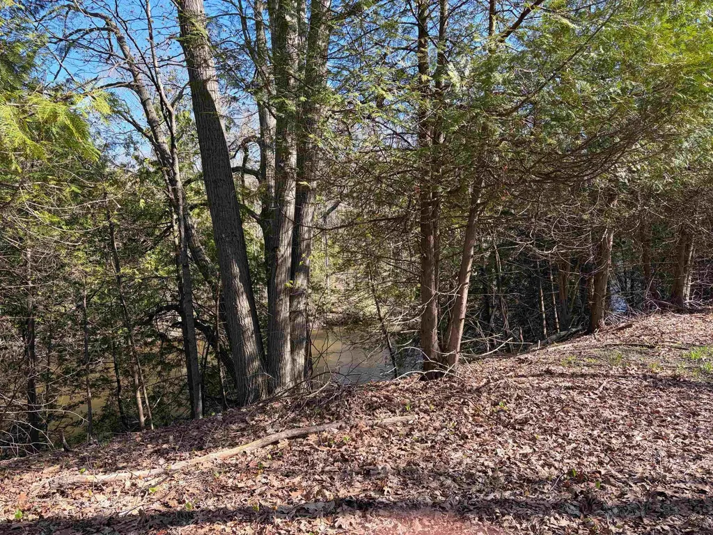 Tbd S Loomis Road Chippewa Township MI 48858