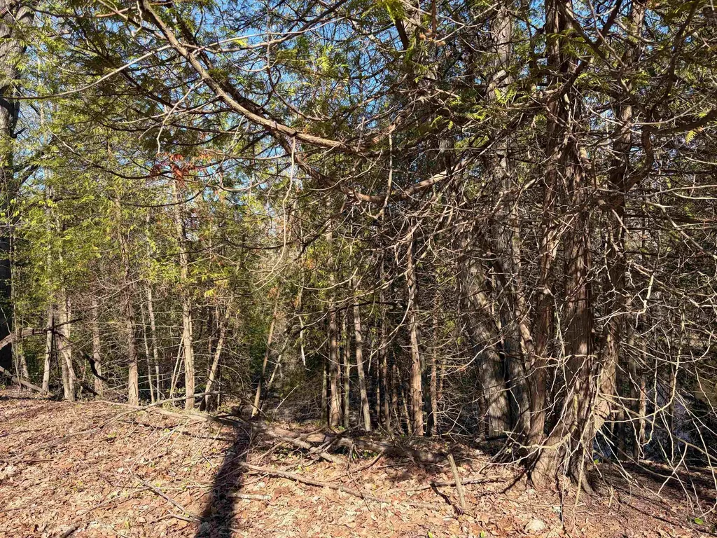 Tbd S Loomis Road Chippewa Township MI 48858
