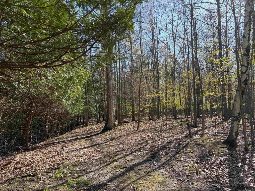 Tbd S Loomis Road Chippewa Township MI 48858