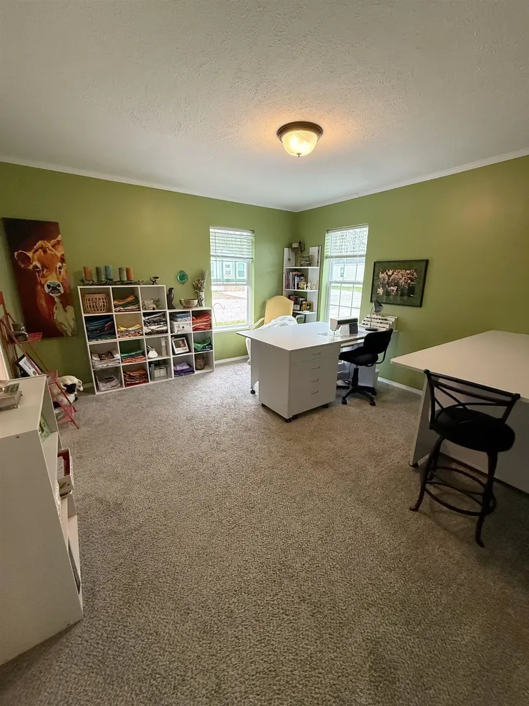 1187 Ironstone Drive Union Charter Township MI 48858