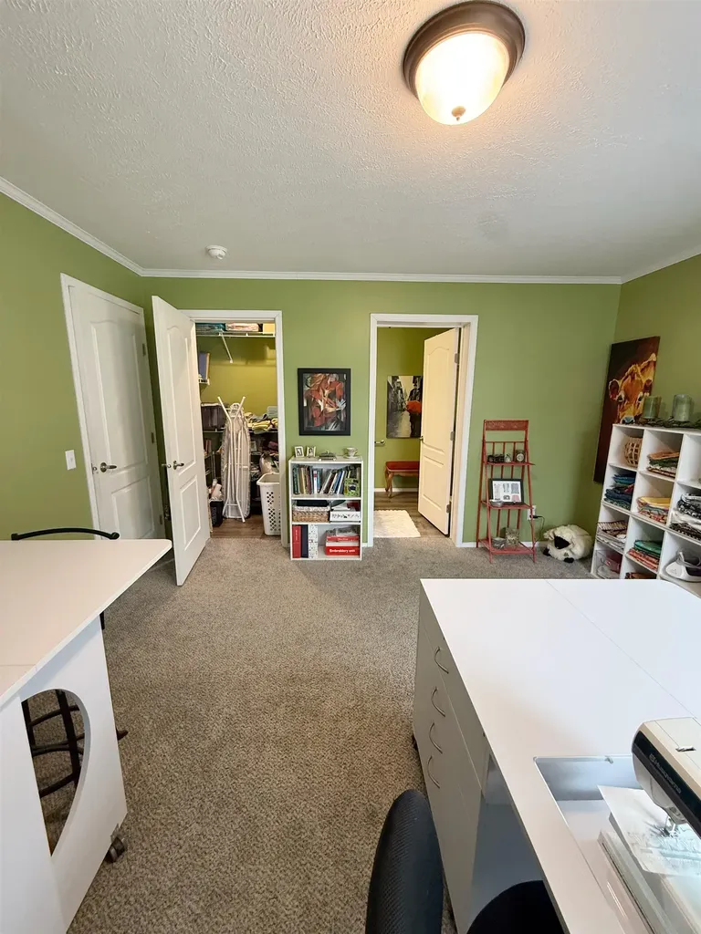 1187 Ironstone Drive Union Charter Township MI 48858