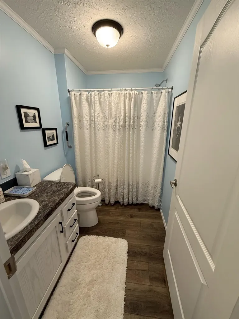 1187 Ironstone Drive Union Charter Township MI 48858