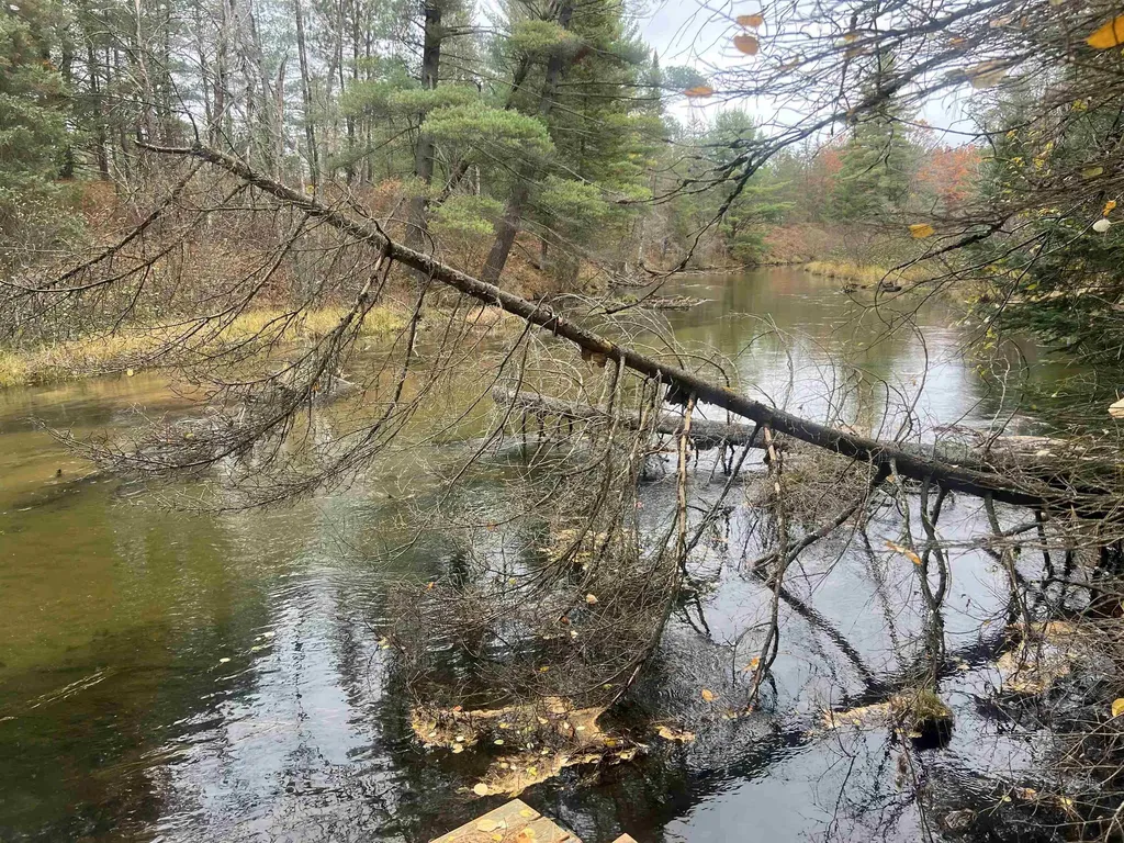 6051 N Manistee River Road Frederic Township MI 49733