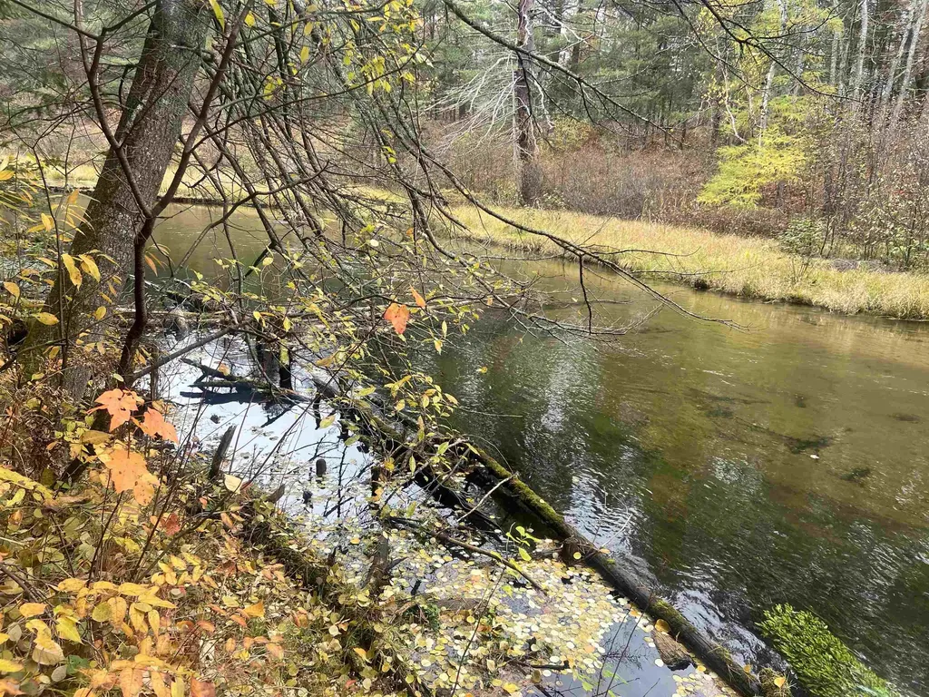 6051 N Manistee River Road Frederic Township MI 49733