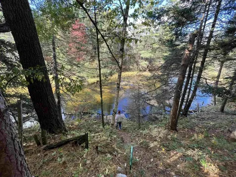 6051 N Manistee River Road Frederic Township MI 49733