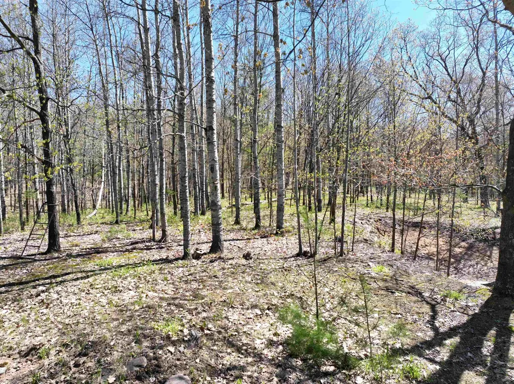 319 Lund Road Garfield Township MI 49633